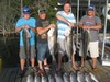 (07/23/2017) - Nice Striped Bass